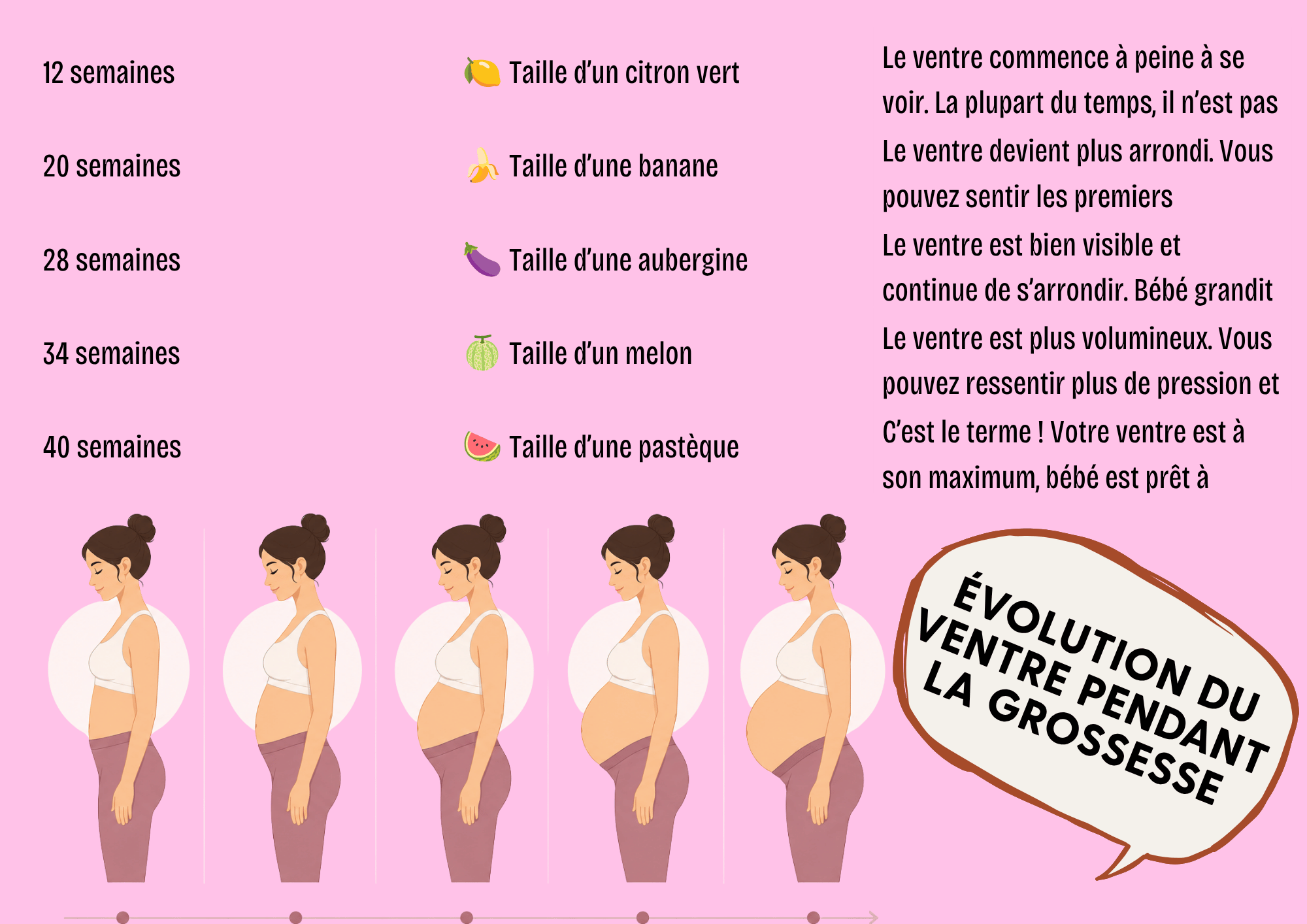 Évolution du ventre pendant la grossesse, repères visuels complémentaires