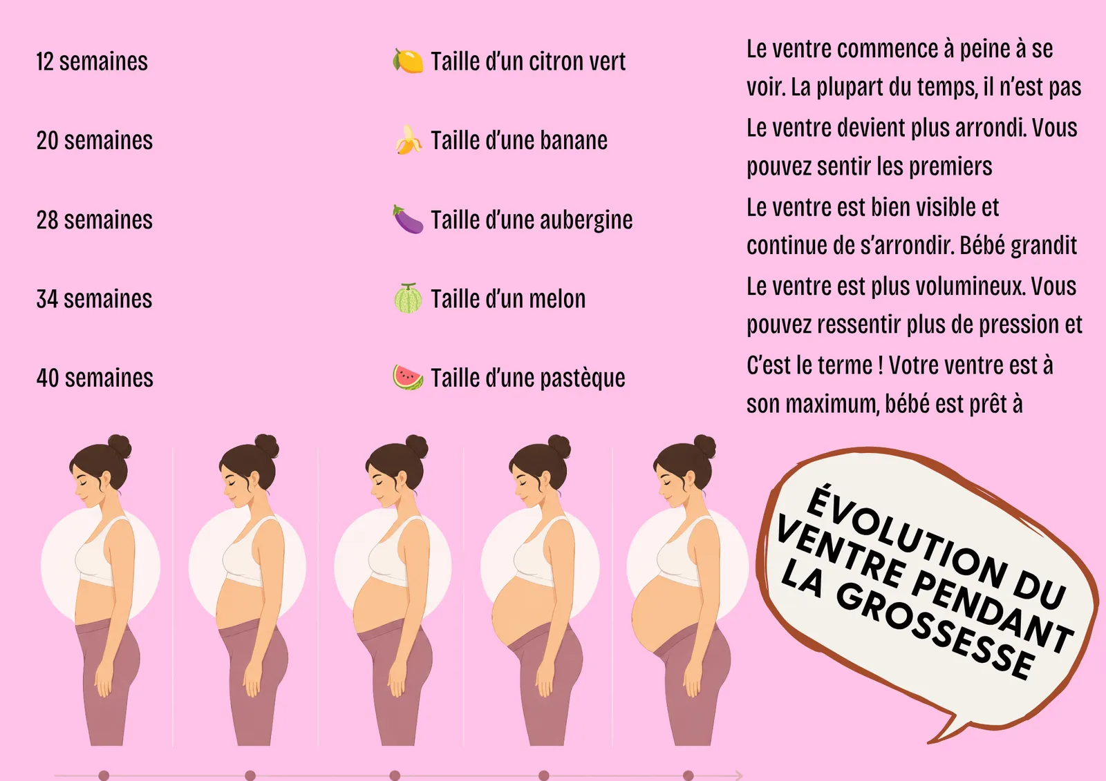 Évolution du ventre pendant la grossesse, repères visuels complémentaires