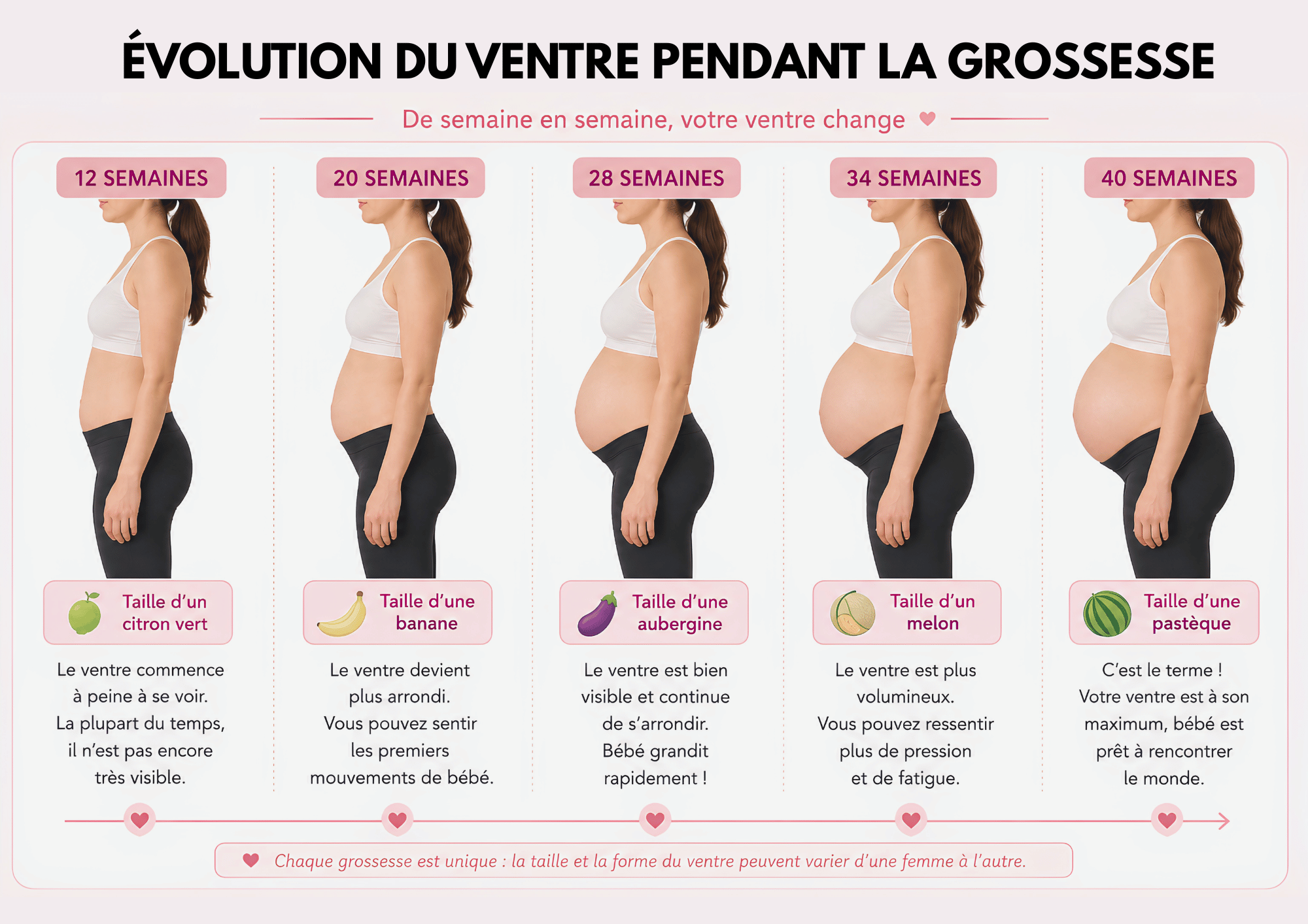 Évolution du ventre pendant la grossesse à 12, 20, 28, 34 et 40 semaines