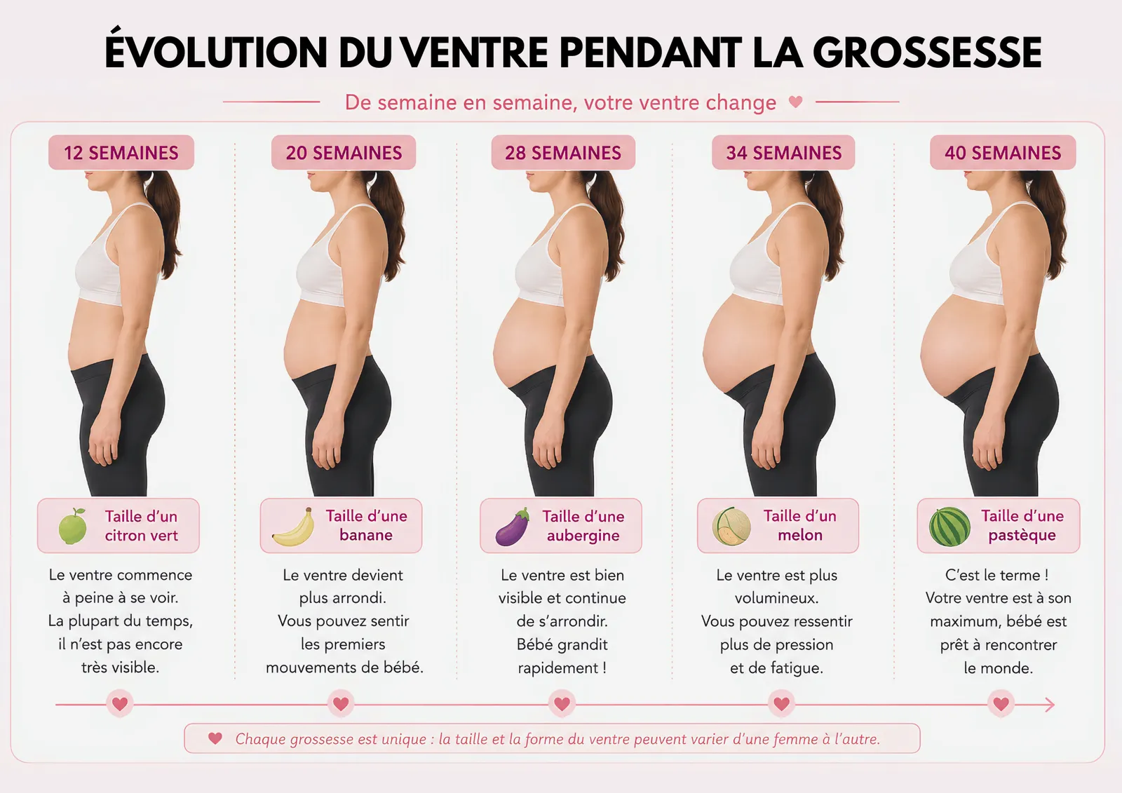 Évolution du ventre pendant la grossesse à 12, 20, 28, 34 et 40 semaines
