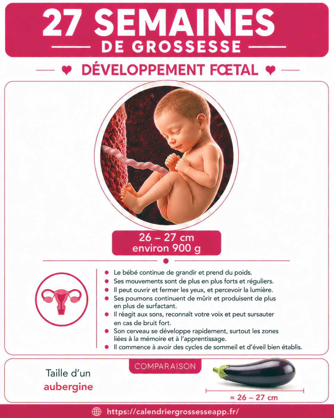 Illustration du bébé à 27 semaines de grossesse